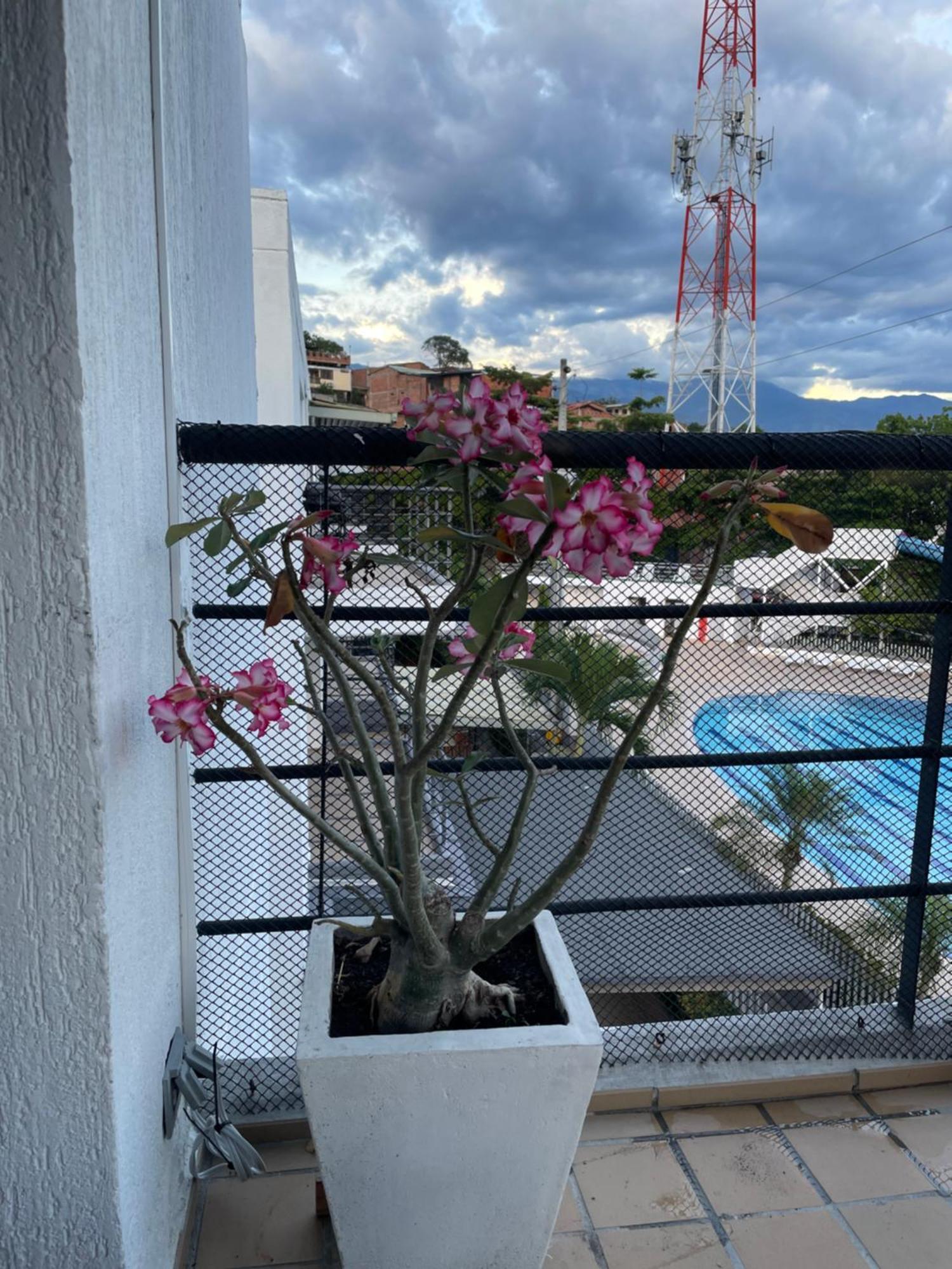 Apartasol Santafe De Antioquia 15 * Santa Fe de Antioquia